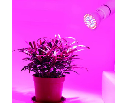 ZOO Fito Grow 80 LED lempa augalams; 25W