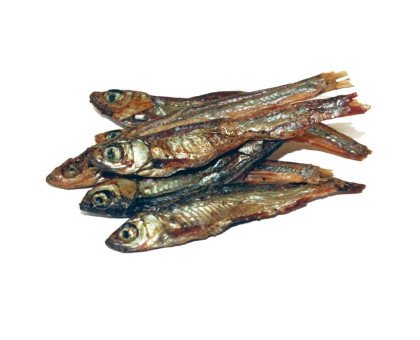 Prodac Tartafood Fish džiovintos žuvys maistas vandens vėžliams; 200g