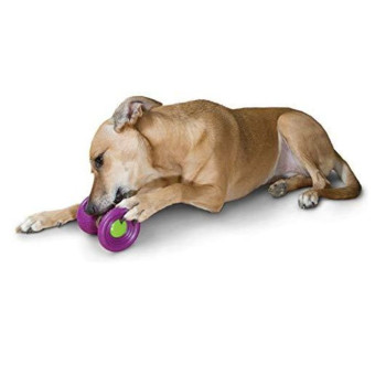 PetSafe Busy Buddy Ultra Woofer žaislinis kaulas skanėstams šunims; S, M PetSafe Busy Buddy Ultra Woofer žaislinis kaulas skanėstams šunims; S, M