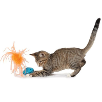 PetSafe Funkitty Twist n Treat Cat Teaser žaislas skanėstams dėti, skirtas katėms PetSafe Funkitty Twist n Treat Cat Teaser žaislas skanėstams dėti, skirtas katėms