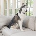 PetSafe Rechargeable Bark Control pakraunamas antkaklis nuo lojimo didelių veislių šunims
