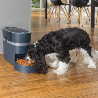 PetSafe Smart Feed Automatic Pet Feeder išmani automatinė šunų ir kačių šėrykla PetSafe Smart Feed Automatic Pet Feeder išmani automatinė šunų ir kačių šėrykla