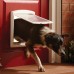 PetSafe Staywell Original 2 Way M durys šunims iki 18kg; baltos