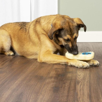 PetSafe Busy Buddy Forever Bone žaislinis kaulas šunims; S, M PetSafe Busy Buddy Forever Bone žaislinis kaulas šunims; S, M