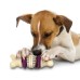PetSafe Busy Buddy Bristle lavinamasis žaislas su skanėstais
