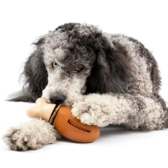 Petsafe Busy Buddy Chicken lavinamasis žaislas su skanėstais; ML Petsafe Busy Buddy Chicken lavinamasis žaislas su skanėstais; ML