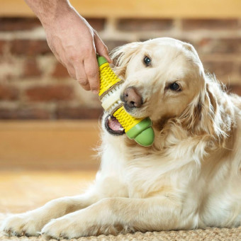 Petsafe Busy Buddy Corn ML lavinamasis žaislas su skanėstais Petsafe Busy Buddy Corn ML lavinamasis žaislas su skanėstais