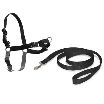 Petsafe Easy Walk Deluxe Harness petnešos lengvam pasivaikščiojimui, juodos; S Petsafe Easy Walk Deluxe Harness petnešos lengvam pasivaikščiojimui, juodos; S