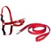 Petsafe Easy Walk Deluxe Harness petnešos lengvam pasivaikščiojimui, raudonos; S