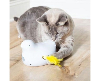 PetSafe Peek a Bird elektroninis žaislas katėms