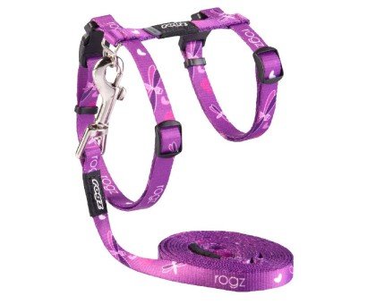 Rogz Kiddy Cat petnešos Ir pavadėlis katėms, violetinės spalvos; 24-40cm