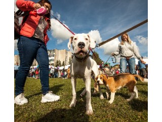 Gyvūnų mylėtojai tradiciškai susitiks Gargžduose 2017